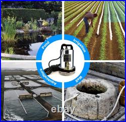 BACOENG DC 12V Submersible Water Pump Solar Water Pump with 6m Cable, 20FT Lift