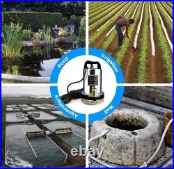 DC 12V Submersible Solar Water Pump Quiet, Light Wieght, Great Pressure 120W NEW