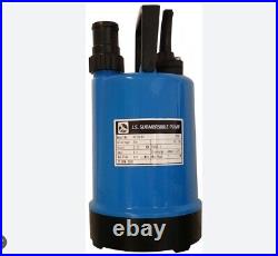 Submersible water pump W Robinson And Sons